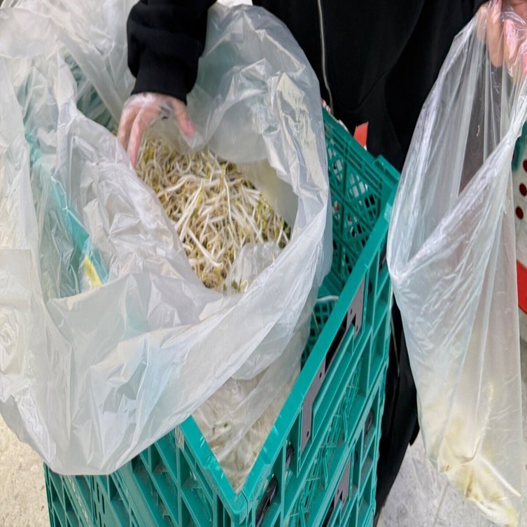 20241203 沖縄のもやし。｜前田海香子