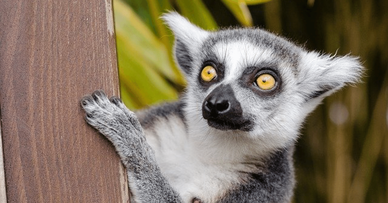 会議体運営ができる人を全力で褒めてみた Oz A K A 西洋出版史たん Note