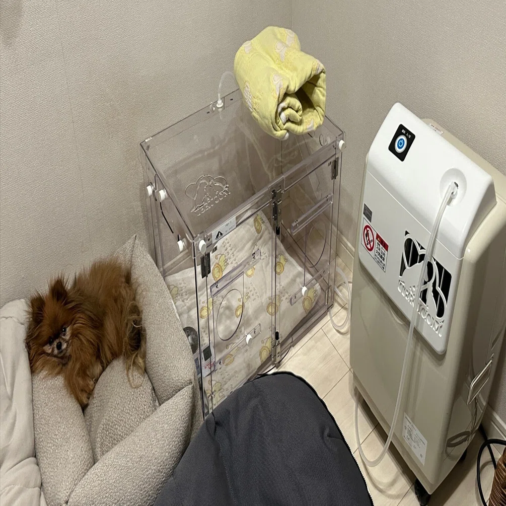 肺高血圧症になったペット用酸素ハウスを使ってみる｜ナセル