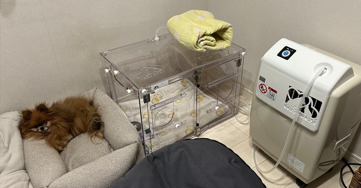 新着入荷の通販 肺水腫になったペット用酸素ハウスを使ってみる｜ナセル その他