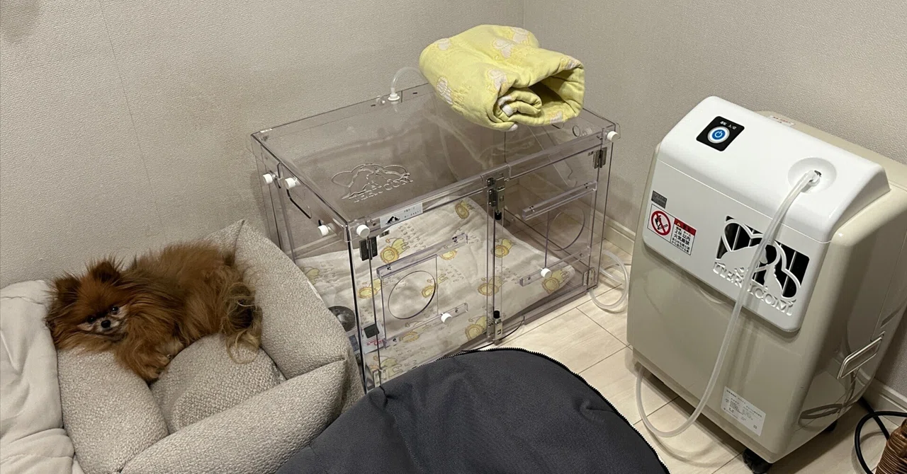 肺高血圧症になったペット用酸素ハウスを使ってみる｜ナセル