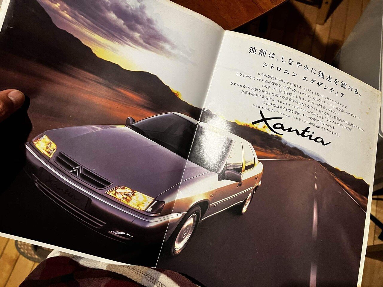 クセの強いフレンチ・デザイン🇫🇷クルマとロードバイクの話