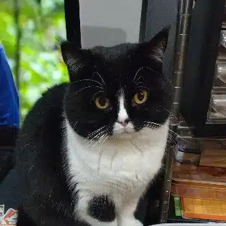 禅ヒッピー