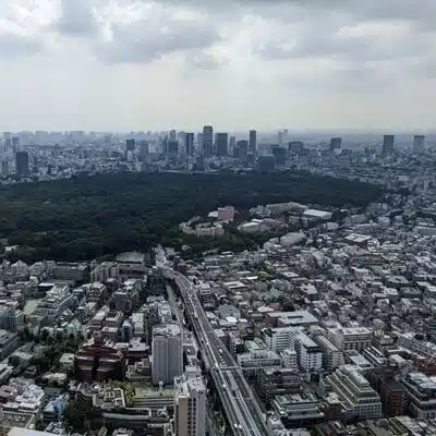 いるいる