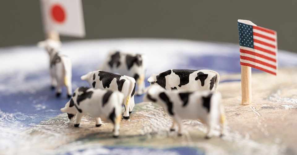 自己紹介ー大企業 Vc 起業 フリーランス 仮想通貨ベンチャー ニート 懲りずに挑戦 Kagayakiman Note