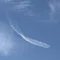 なの