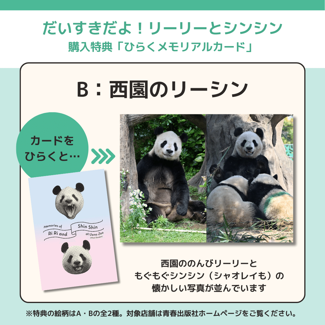 だいすきだよ!リーリーとシンシン「毎日パンダ」がとらえた2頭 だいすきだよ!リーリーとシンシン「毎日パンダ」がとらえた2頭