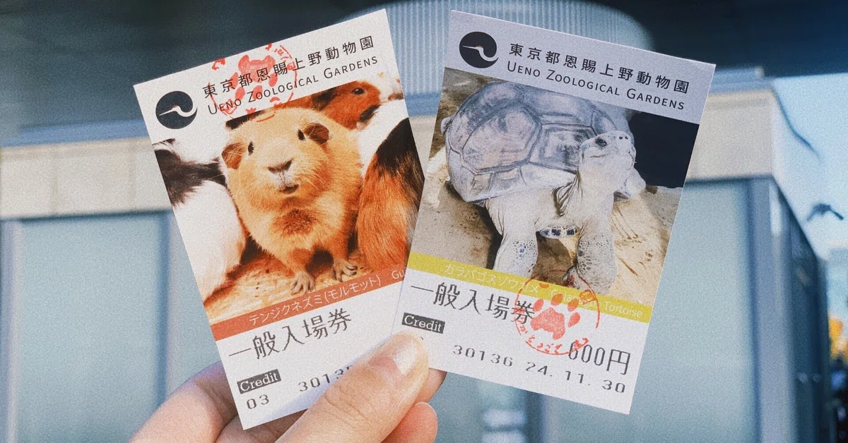 20年ぶりに上野動物園に行ってきました|mayu 20年ぶりに上野動物園に行ってきました|mayu