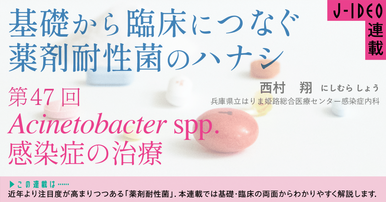 【超ポイント祭?期間限定】 基礎から臨床につなぐ 薬剤耐性菌のハナシ（47）｜中外医学社Online 健康+医学