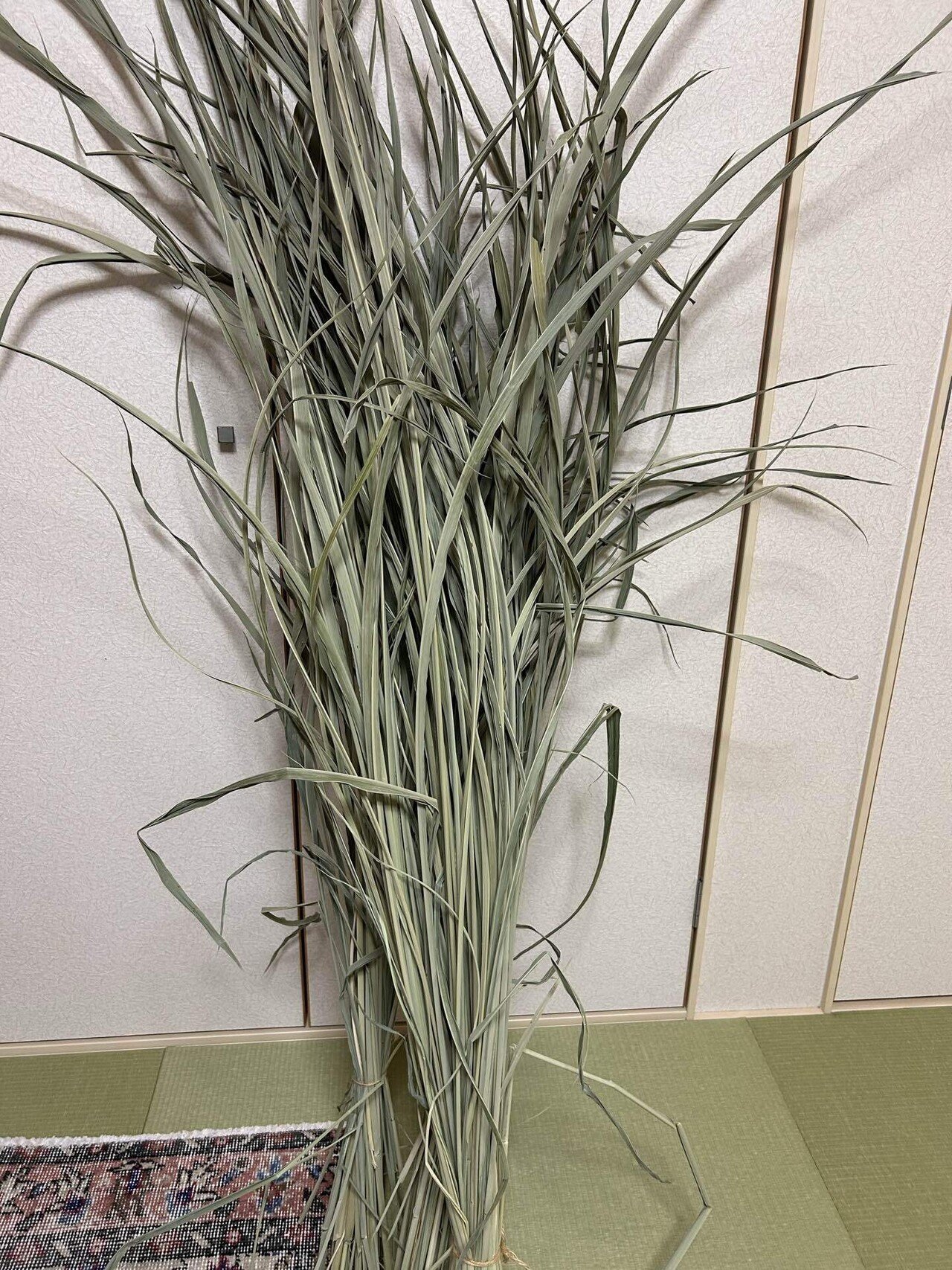 真菰と精麻のしめ縄作り〜しめ縄の意味を学ぶ〜｜まこあらファーム