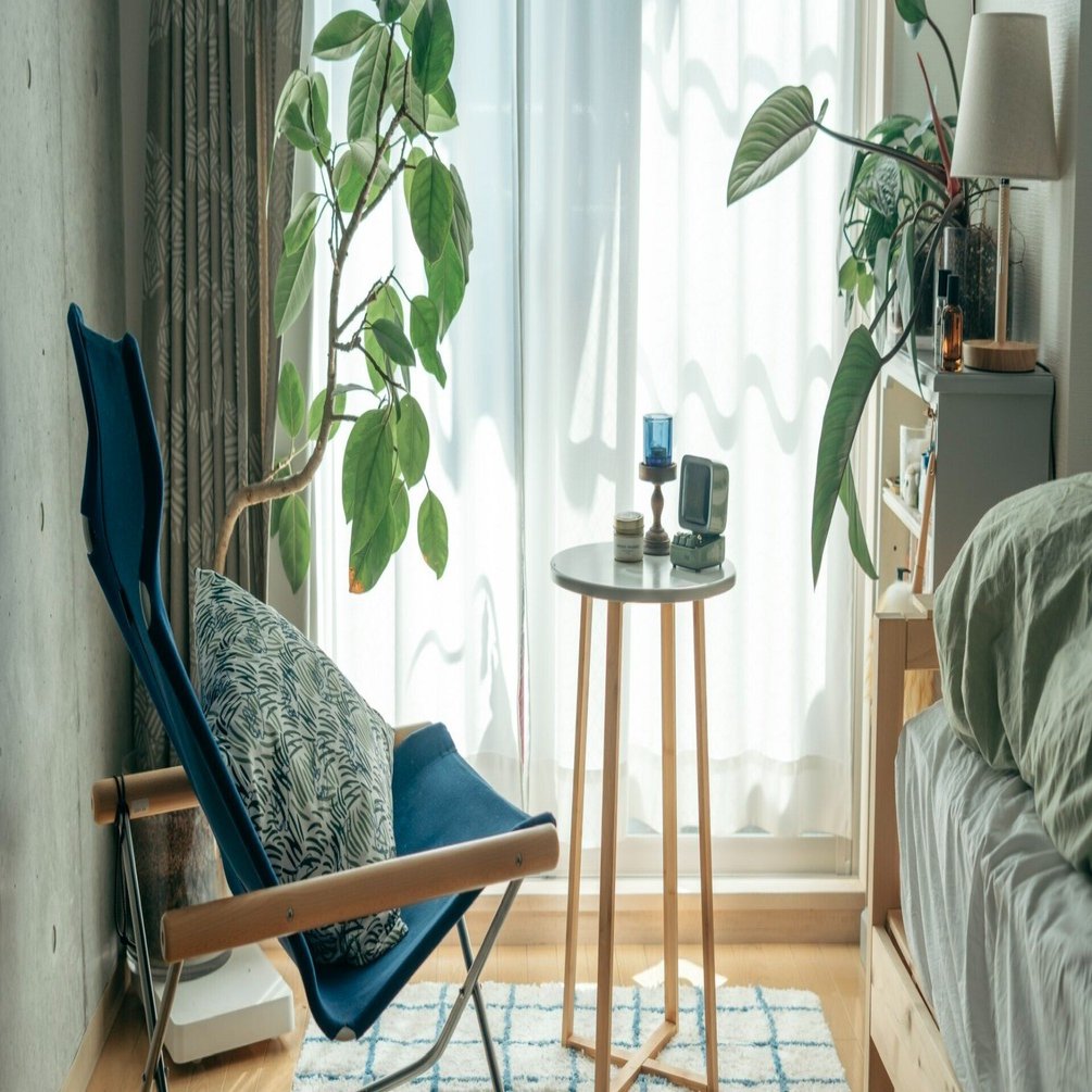 ニーチェアXとコールマンインフィニティチェア、どっちにする？〜『住