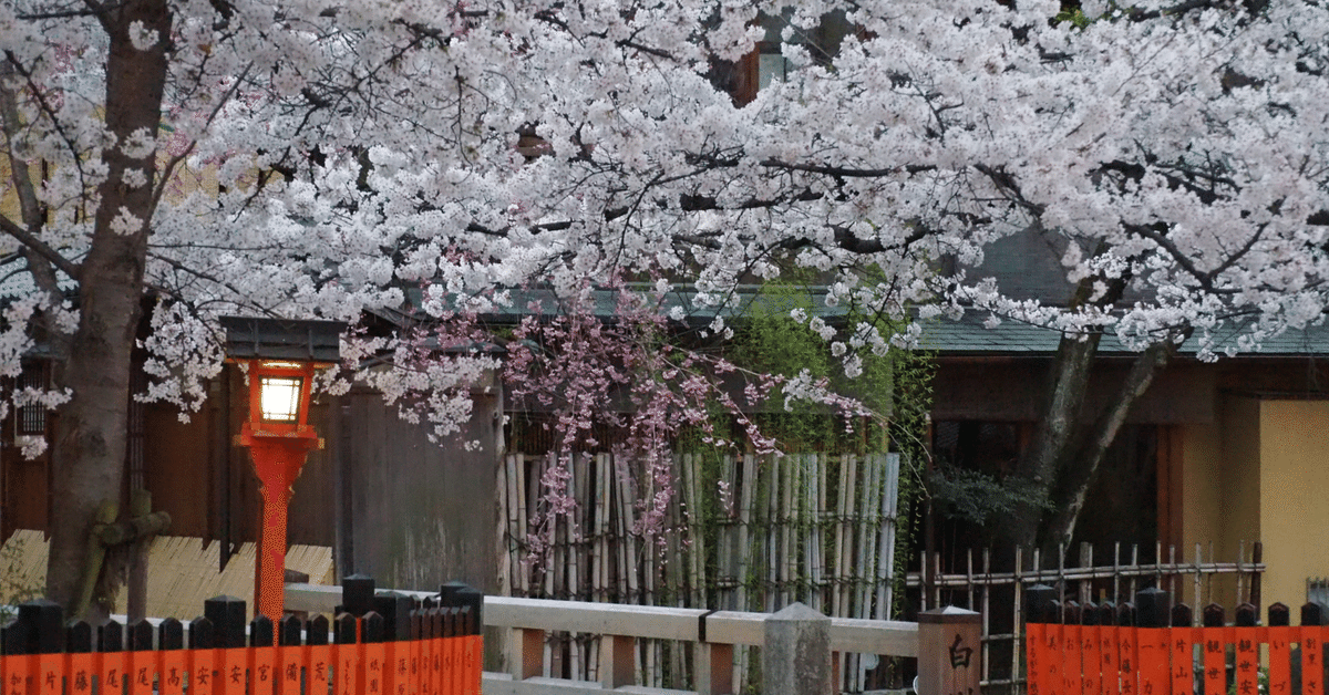 KYOTO 「キョウト」 SAKURA ELIE 年式不明 小径車
