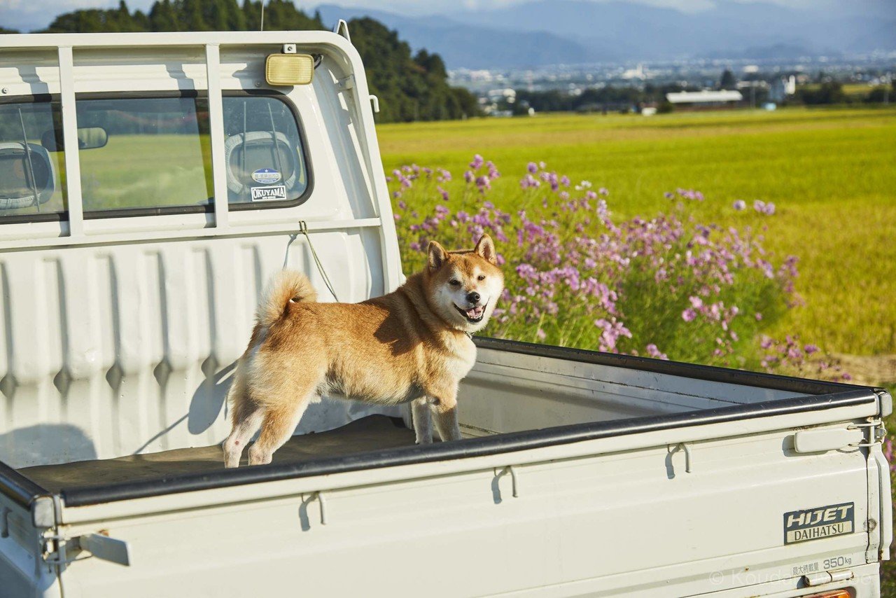 軽トラで散歩道まで 上保 昂大 Note 軽トラで散歩道まで 上保 昂大 Note