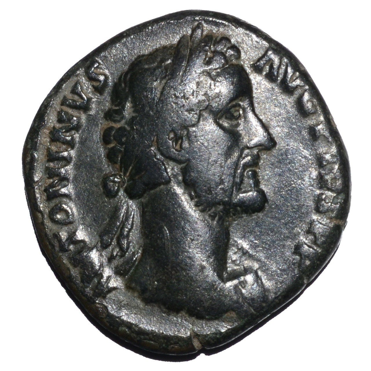 アンティークコインの世界 〜ローマコインとアウグストゥス神殿〜｜Shelk🦋