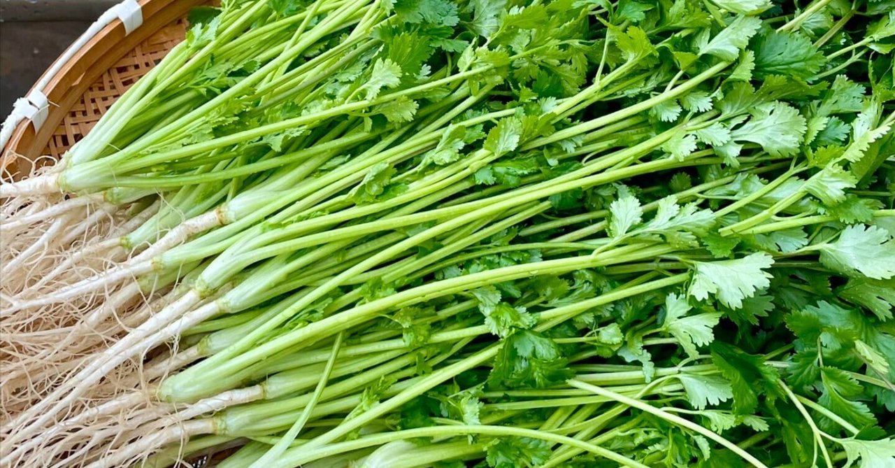 おじいちゃんが孫の為に栽培期間中に農薬不使用で作ったパクチー1kg おじいちゃんが孫の為に栽培期間中に農薬不使用で作ったパクチー1kg