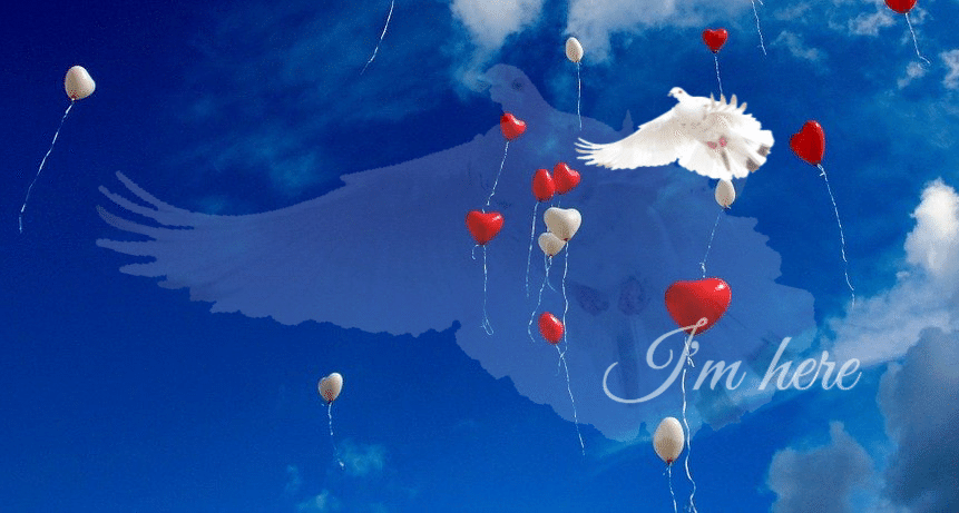 あなたにもチェルシーあげたい ゆき坊 Yyy ﾄﾘﾌﾟﾙﾜｲ Note