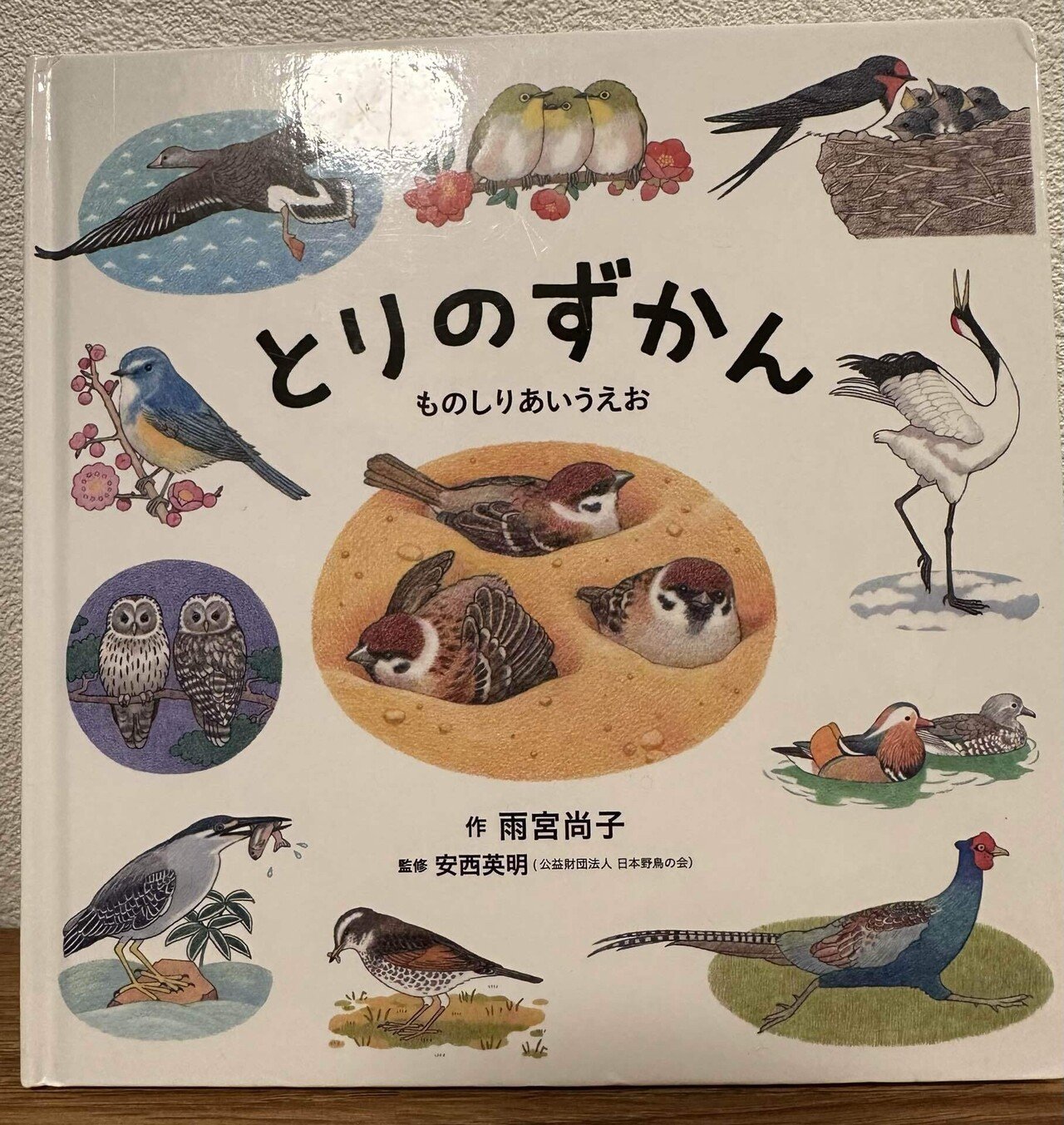 今月のおすすめ絵本】図鑑デビューはこれで決まり！（11月