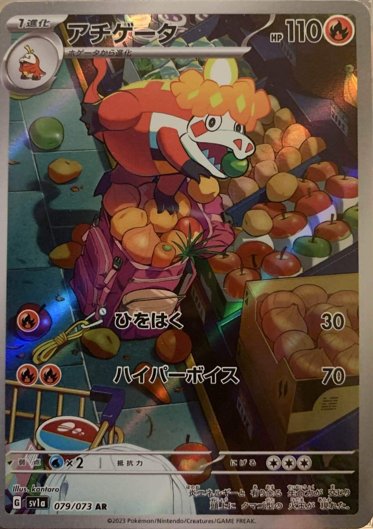 ポケカAR】ポケカコレクション トリプレットビート編｜鯖の味噌煮