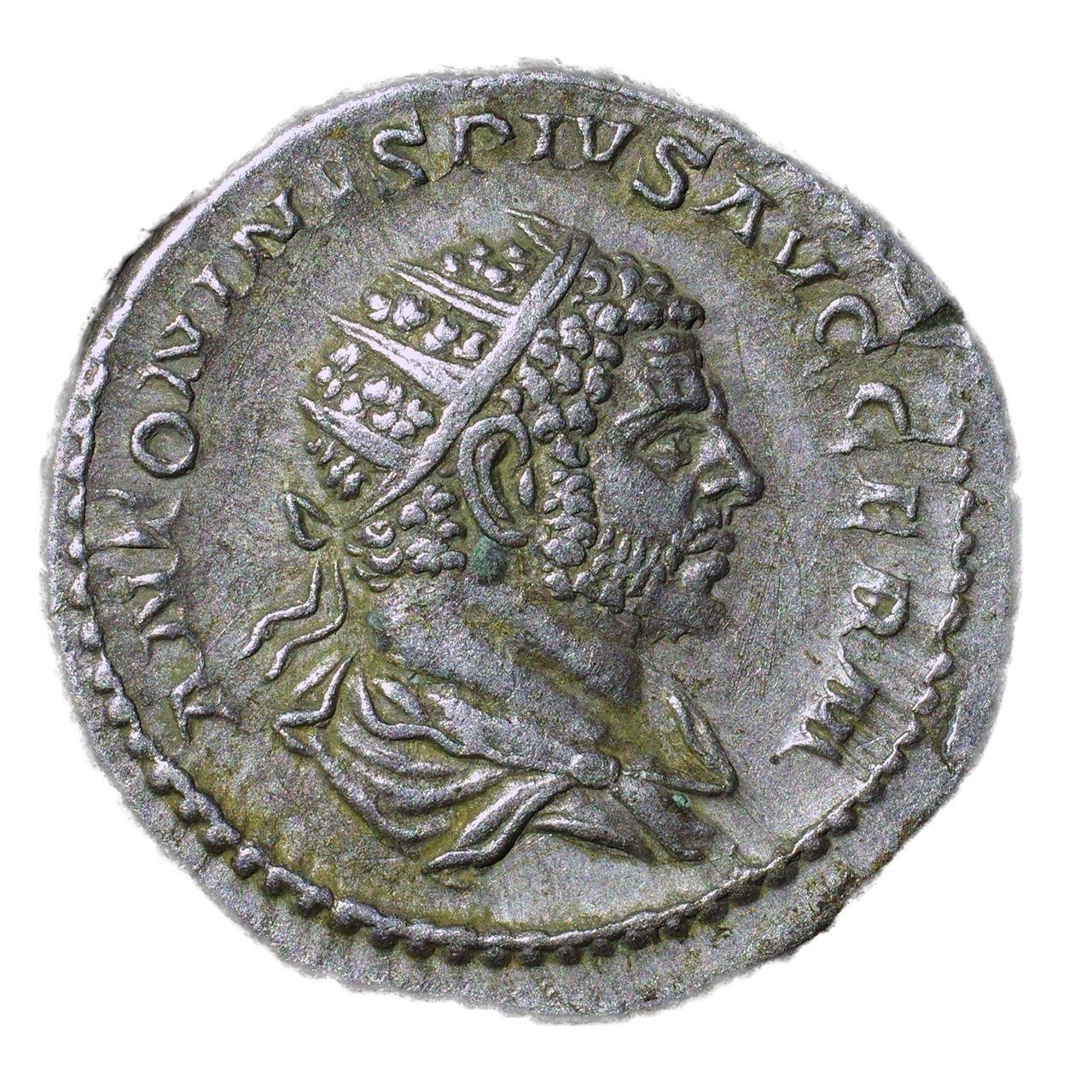 アンティークコインの世界 〜ローマコインとアウグストゥス神殿〜｜Shelk🦋