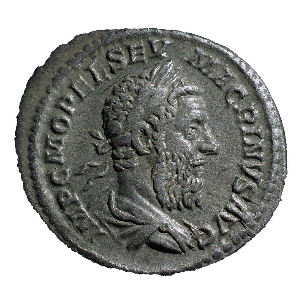 アンティークコインの世界 〜ローマコインとアウグストゥス神殿〜｜Shelk🦋