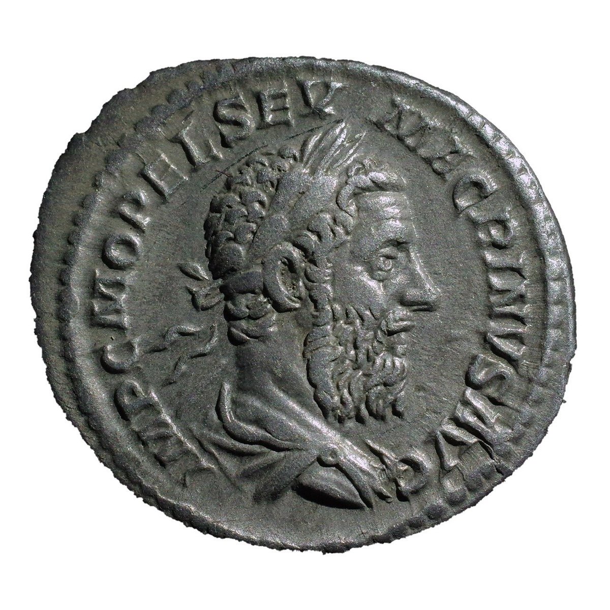 アンティークコインの世界 〜ローマコインとアウグストゥス神殿〜｜Shelk🦋