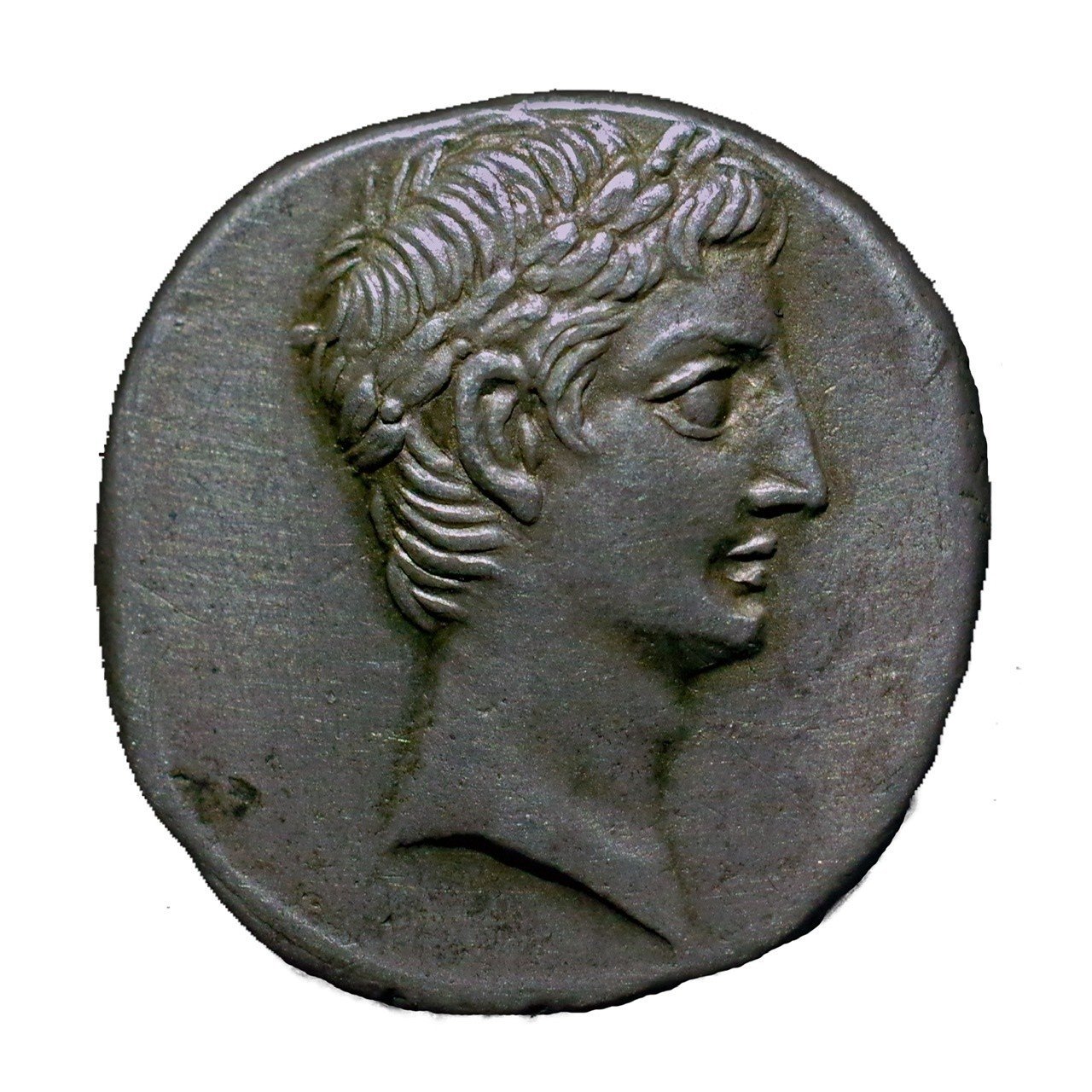 アンティークコインの世界 〜ローマコインとアウグストゥス神殿〜｜Shelk🦋