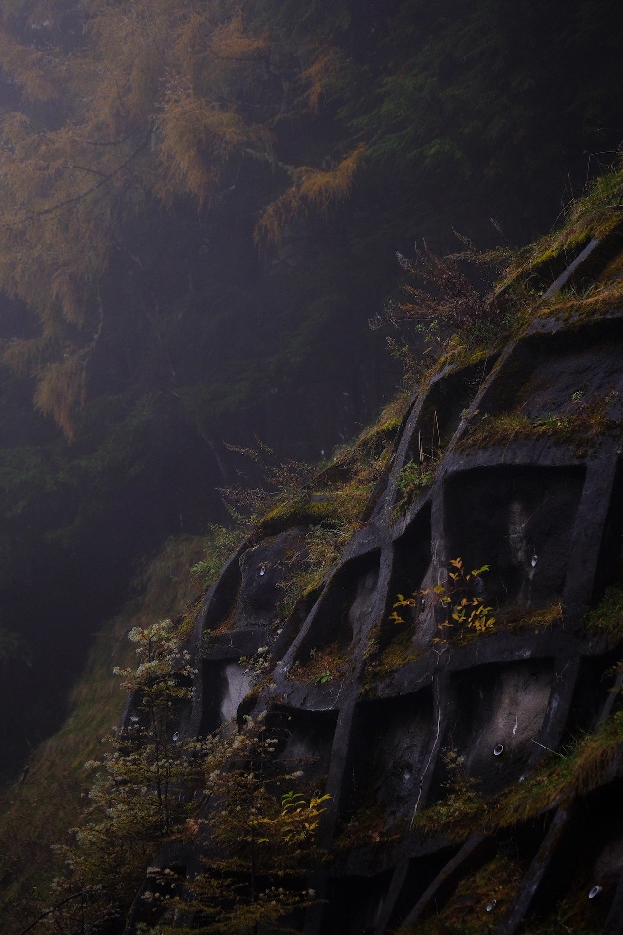 台風19号通過後の長野にて 細野浩司 Note