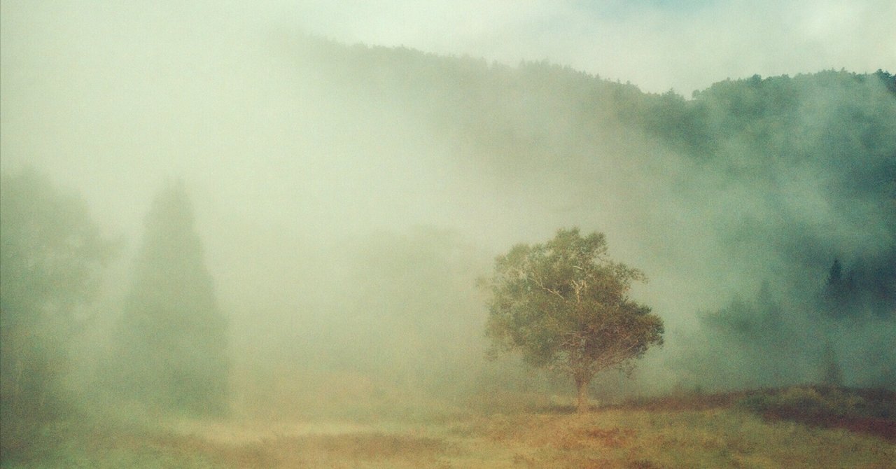 Leica Summar バルナック デザイン　伊万里焼 Leica Summar バルナック デザイン 伊万里焼 - メルカリ