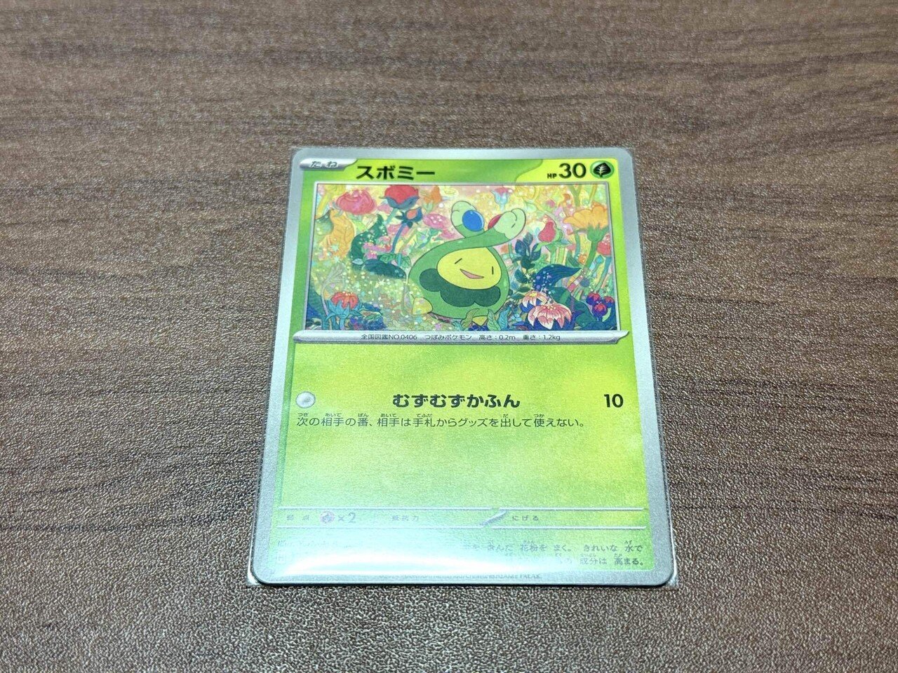 ポケカ「テラスタルフェスex 3BOX開封結果|ぽーるのーと ポケカ「テラスタルフェスex 3BOX開封結果|ぽーるのーと