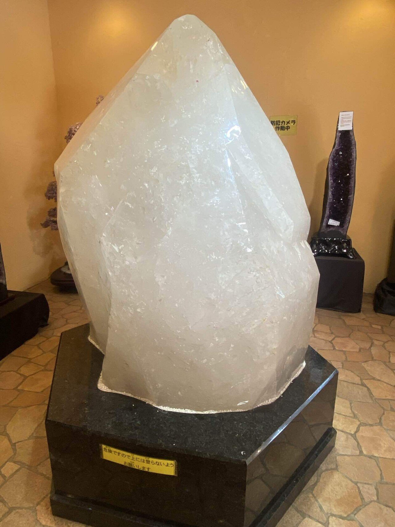 アースキーパークリスタル　byゲイリーフレック アースキーパークリスタルbyゲイリーフレック