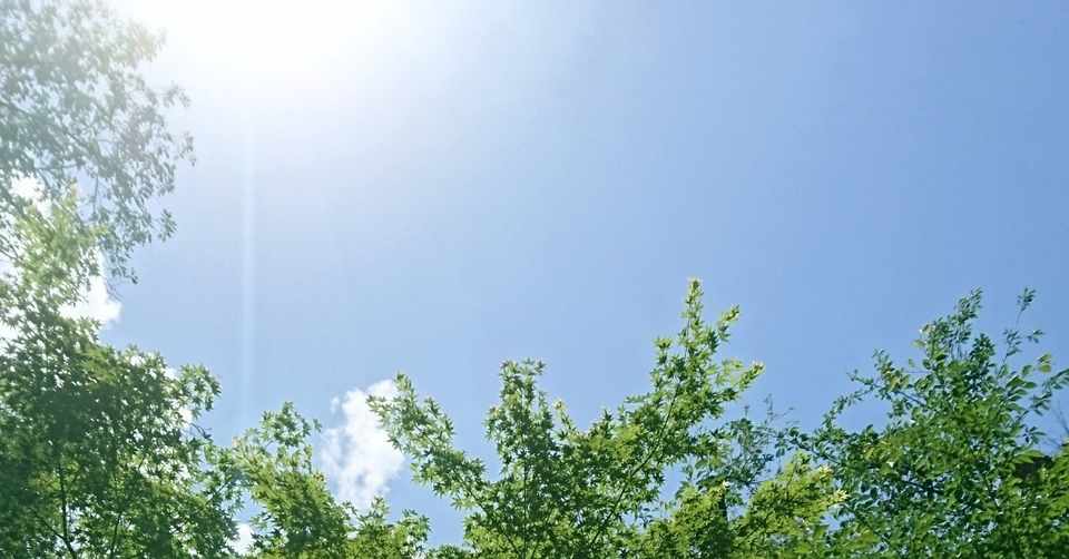 元のモンテ クリスト 伯 名言 インスピレーションを与える名言