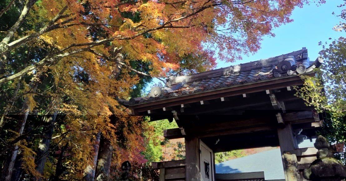 manamiの私ごとですが＃6ぶらっと箱根・長安寺の紅葉ドライブ｜HiHi