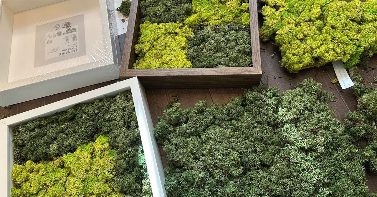 玄関の壁用にモスウォール(スカンディアモス)のフレームを作ってみた