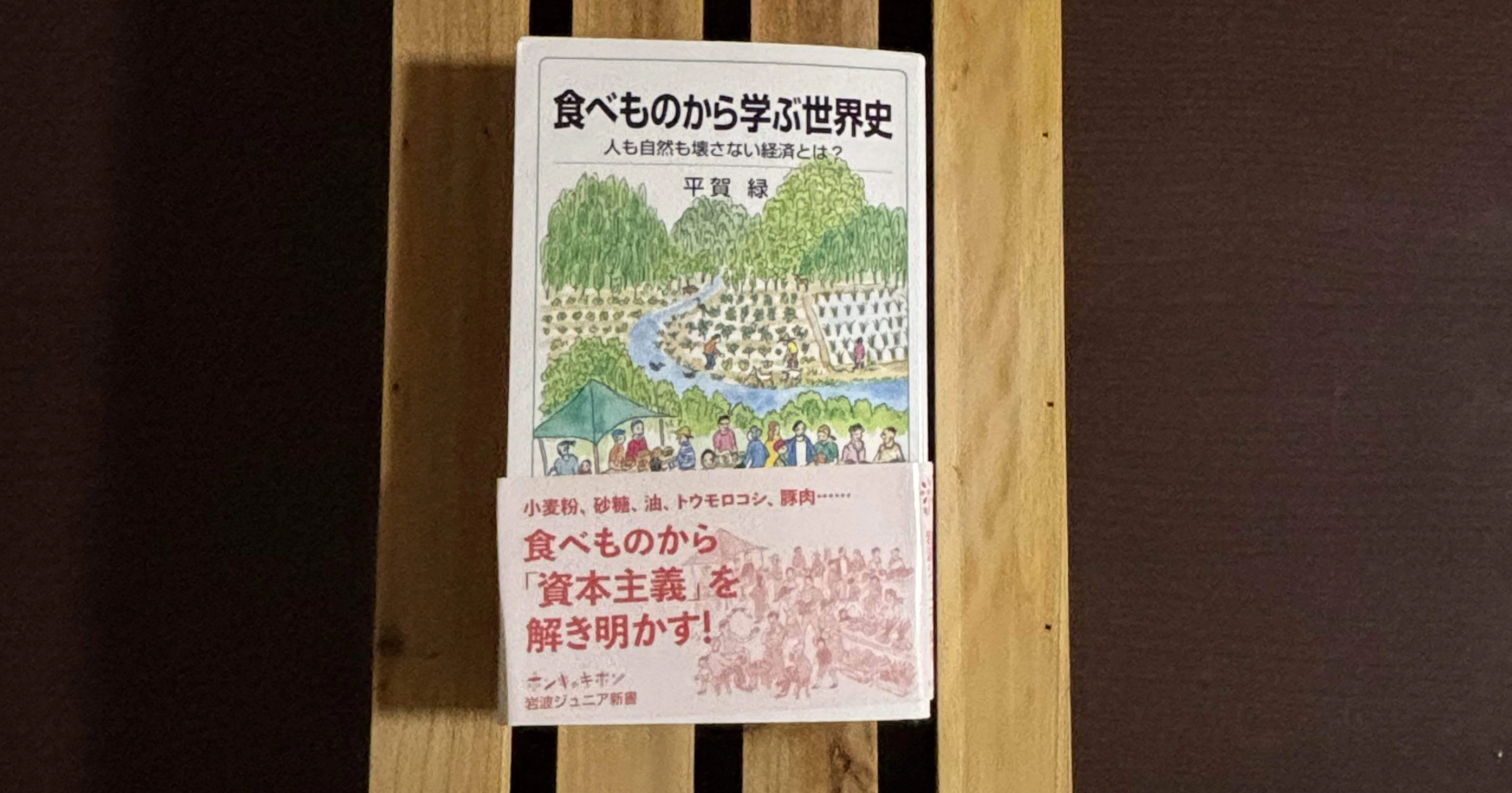 食の世界 食料システムにおける産地、力及び由来/筑波書房/ケヴィン・モーガン（単行本） 空から見た 食の世界 食料システムにおける産地、力及び由来/筑波書房/