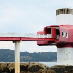 今岡律之の絵が載っている本の一覧（2025-05-03更新）｜蜜柑粒ハイライト