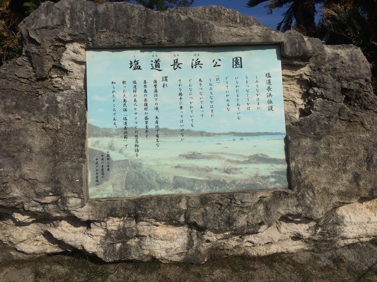 画像18