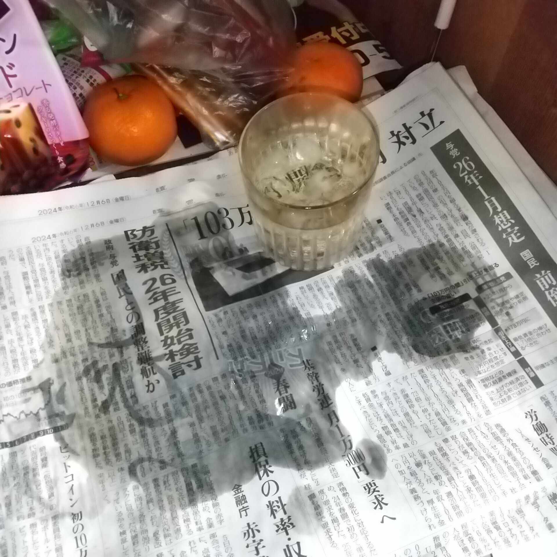 だいたい図書館にいます