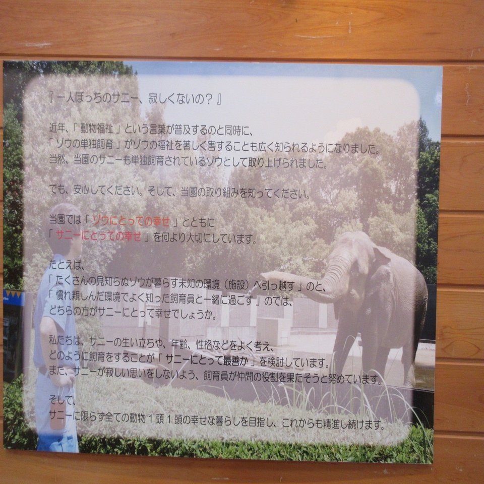 動物園を考える② 【ゲスト：佐藤栄記さん（動物ジャーナリスト）】——動物にまつわる思い込み｜大学のハラスメントを看過しない会【「動物 から考える社会運動」座談会開催中】, image size:1280x960