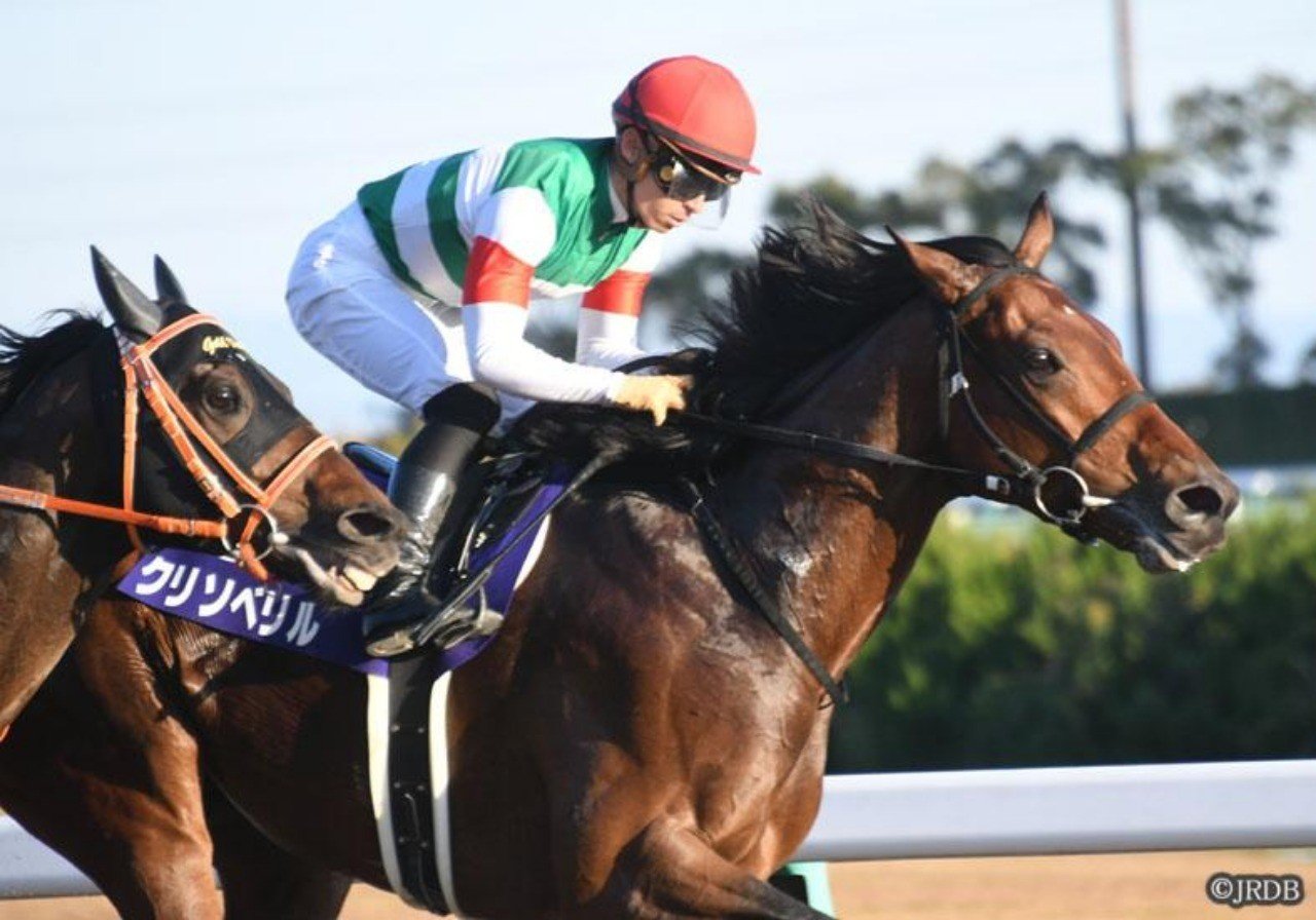 チャンピオンズカップ 優勝馬クリソベリル|JRDB 競馬アラカルト チャンピオンズカップ 優勝馬クリソベリル|JRDB 競馬アラカルト