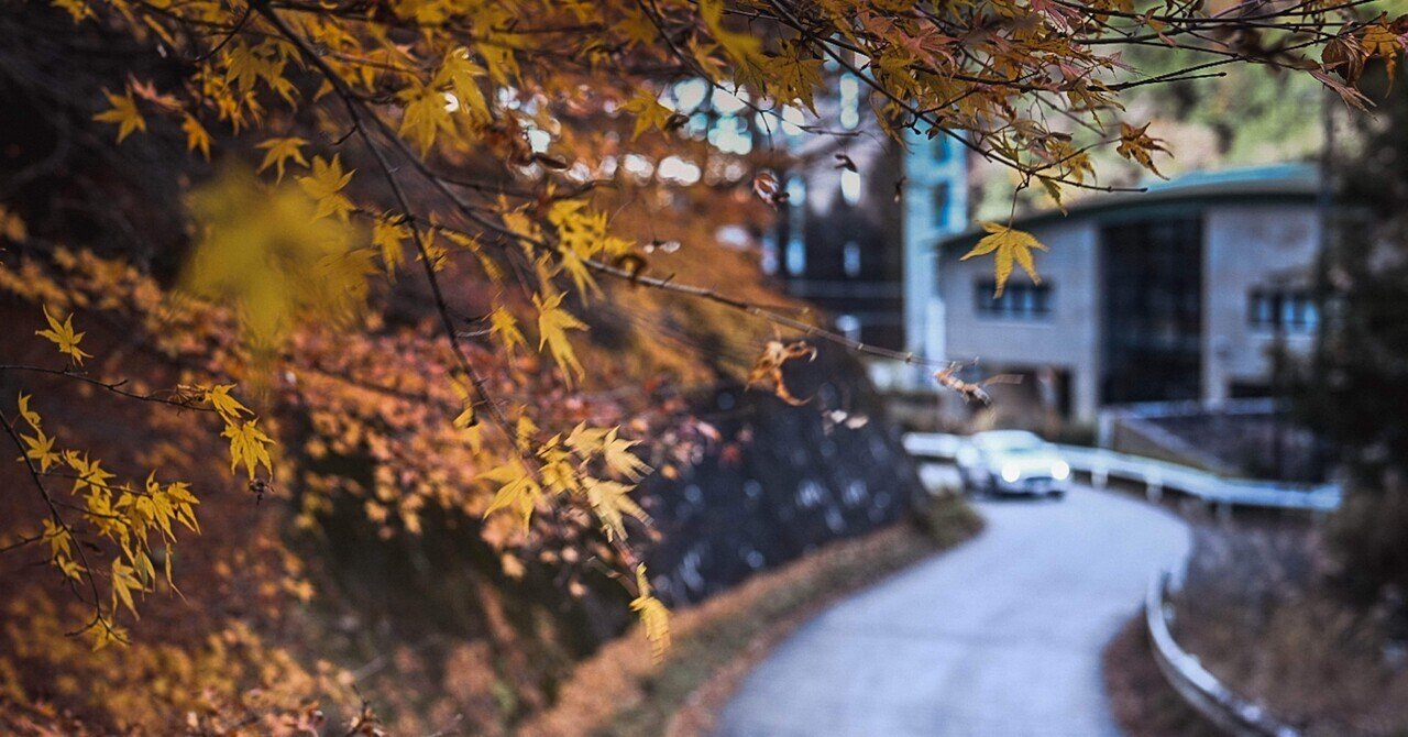 color#2】Nikon Z8 + NIKKOR Z 40mm f/2奥多摩で朝のスナップ color#2】Nikon Z8 + NIKKOR Z 40mm f/2奥多摩で朝のスナップ