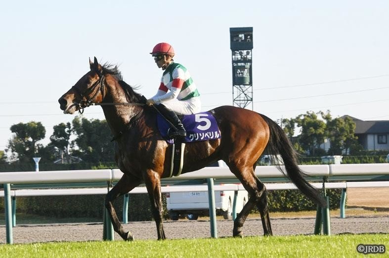 チャンピオンズカップ 優勝馬クリソベリル|JRDB 競馬アラカルト チャンピオンズカップ 優勝馬クリソベリル|JRDB 競馬アラカルト