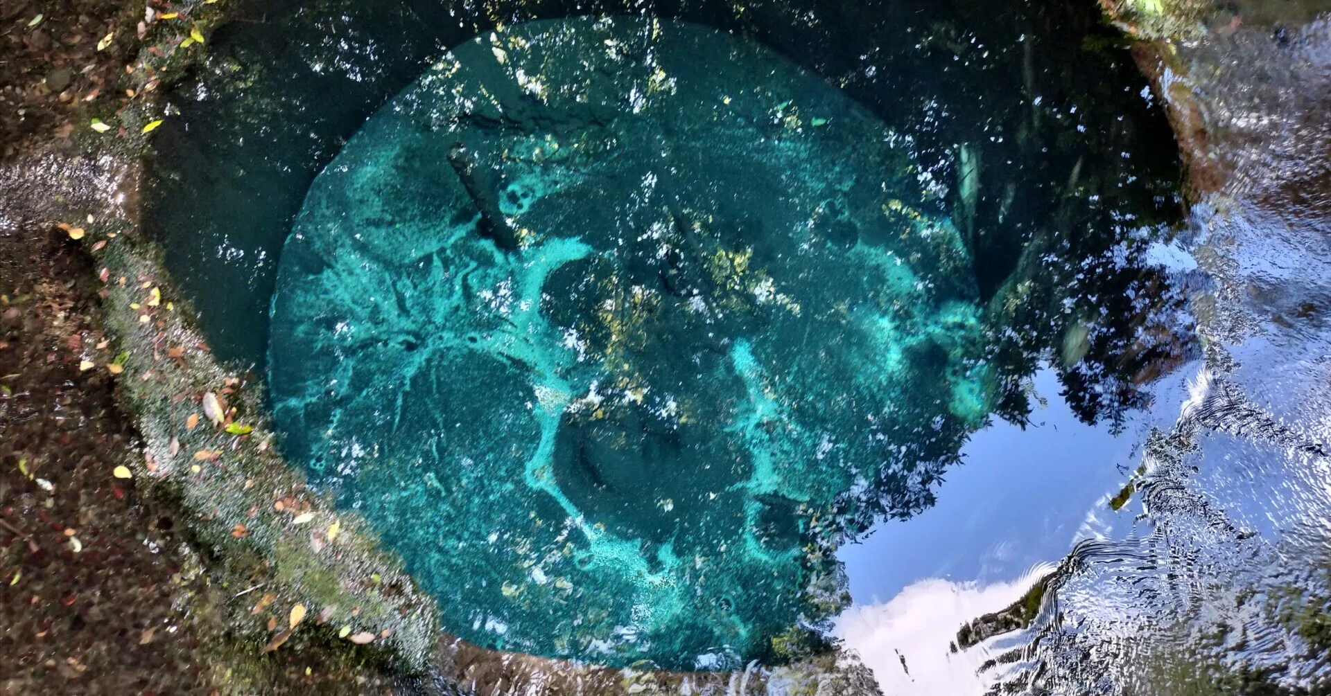 ドライブで三島へ！透明度抜群の柿田川と源兵衛川を歩く「水の都」癒や