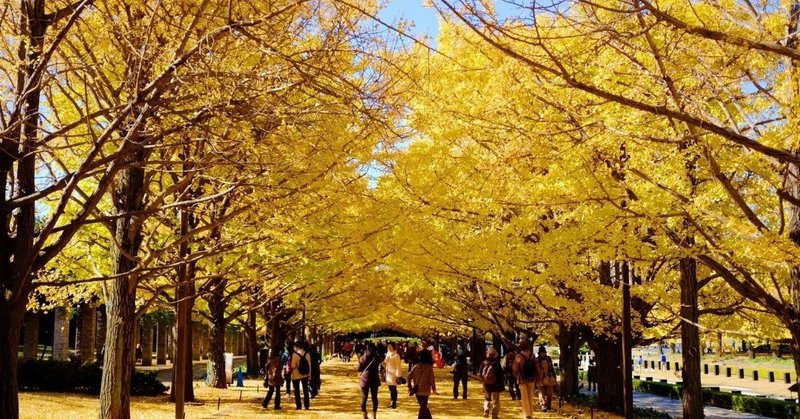 11月の振り返り