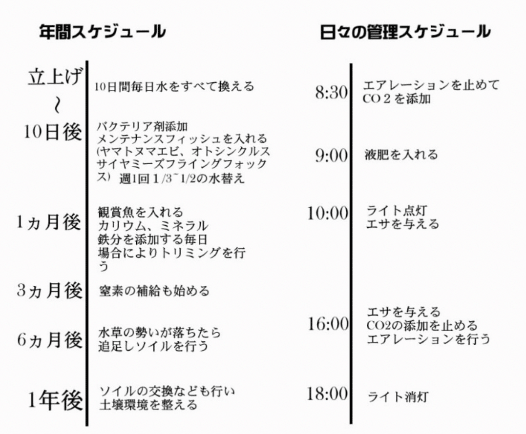 【確認用】水草お届けスケジュールの目安 確認用】水草お届けスケジュールの目安 確認用】水草お届け