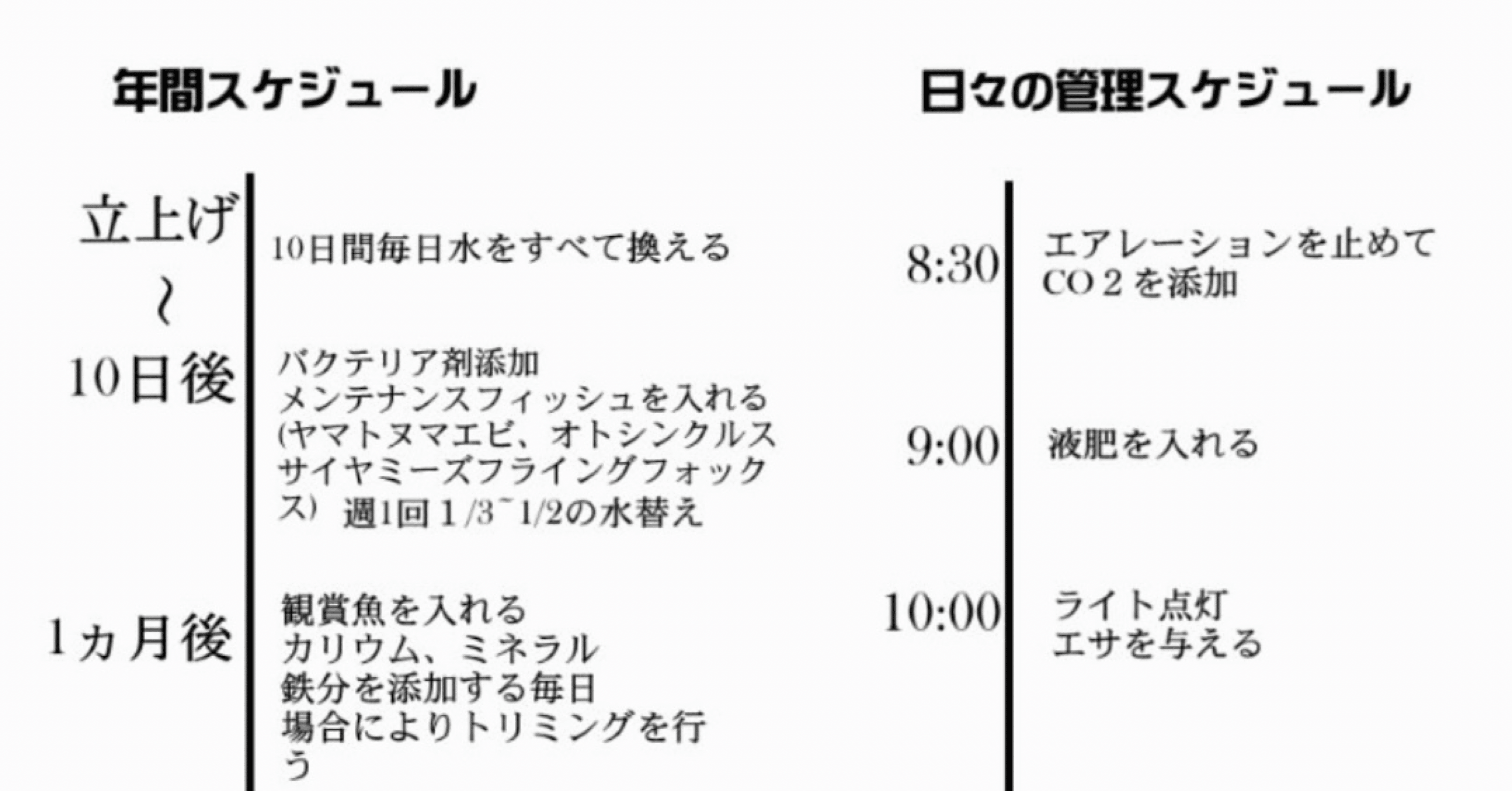 絶対に成功させる水草レイアウト管理スケジュール｜水槽屋oAsis