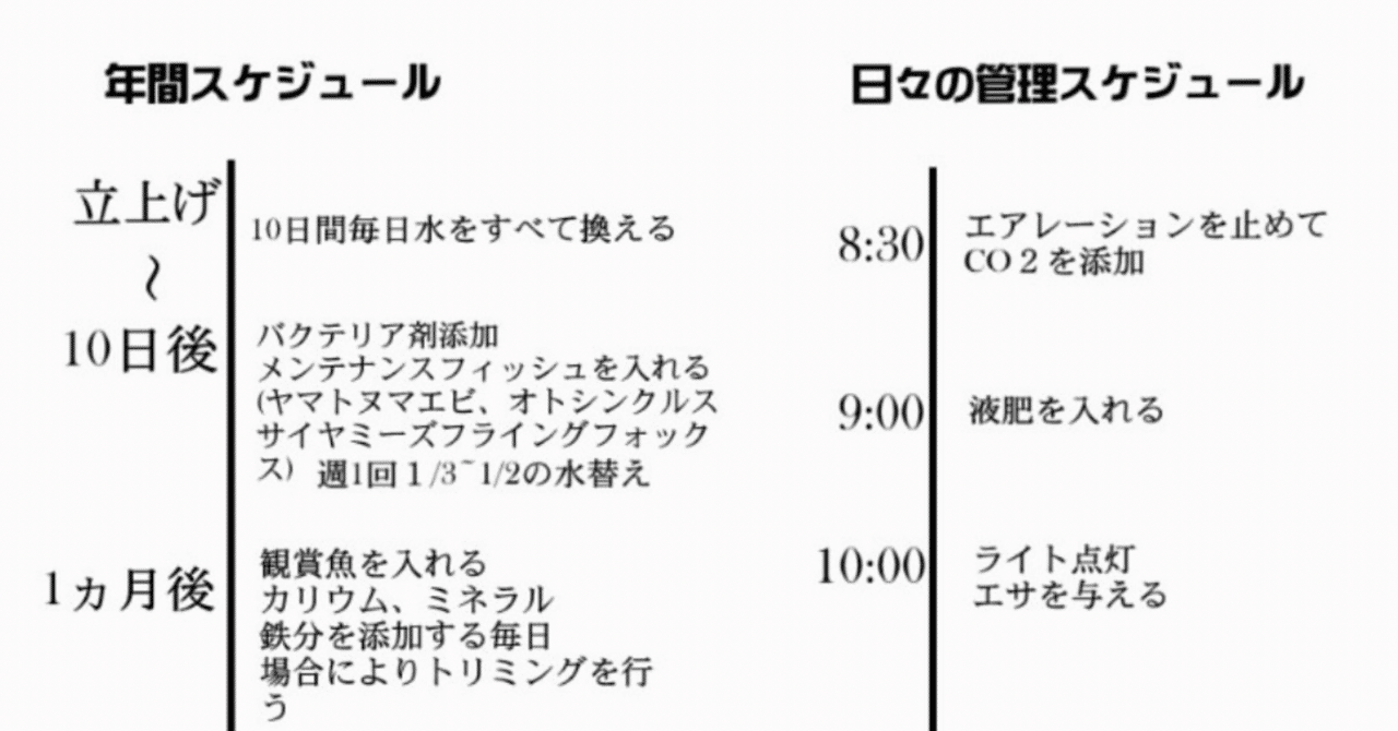 【確認用】水草お届けスケジュールの目安 絶対に成功させる水草レイアウト管理スケジュール｜水槽屋oAsis