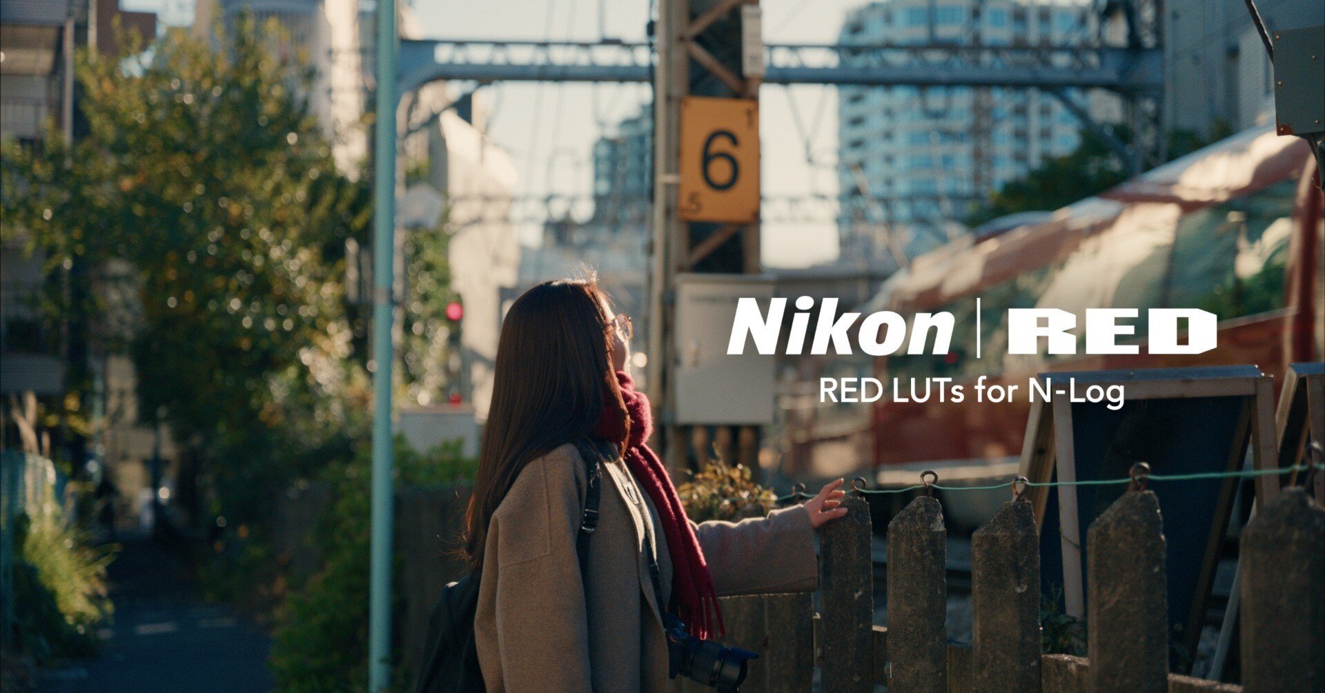 RED LUTs for N-LOG 分析してみた｜UMU TOKYO