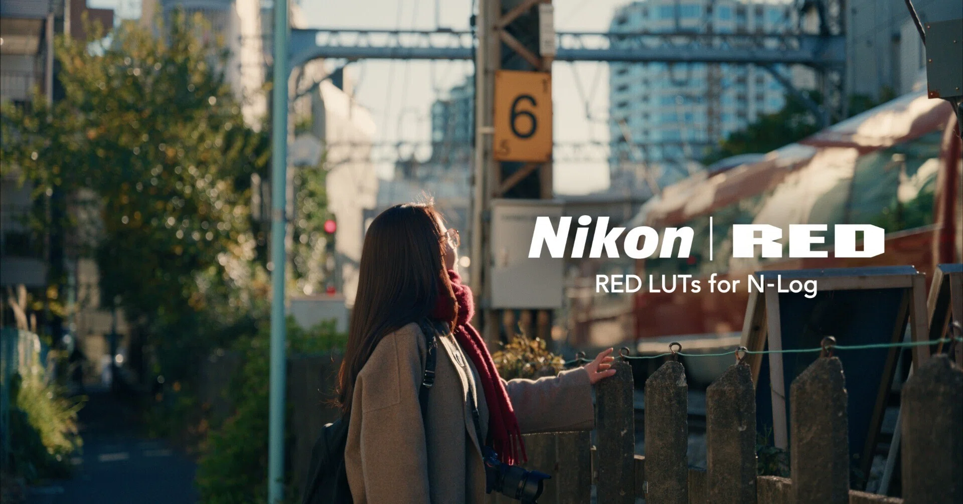 RED LUTs for N-LOG 分析してみた｜UMU TOKYO