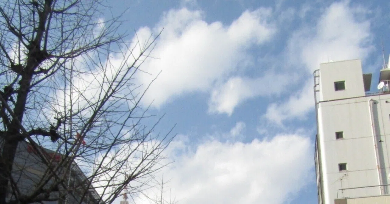 Quw コーヒーと空、自己の連続性|quw