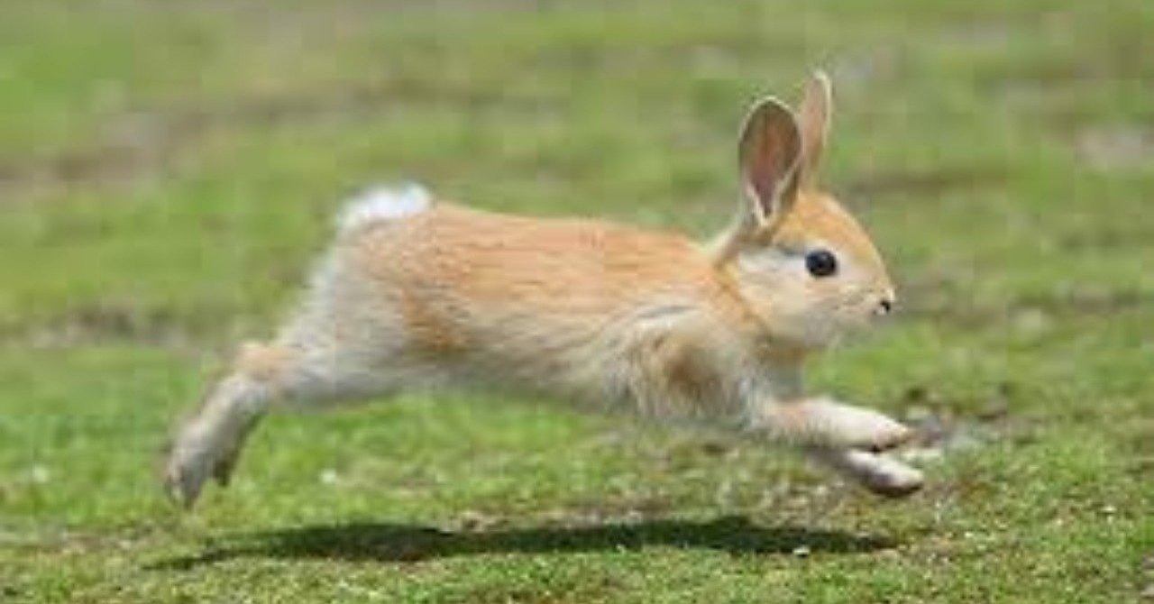 ひたすらに前へ とにかく前へ Ave Maris Stella Note